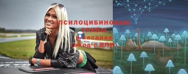 бошки Гусев