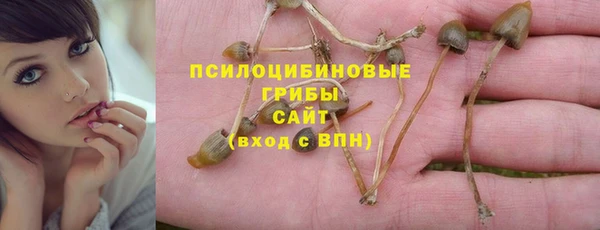 мдпв Гусиноозёрск