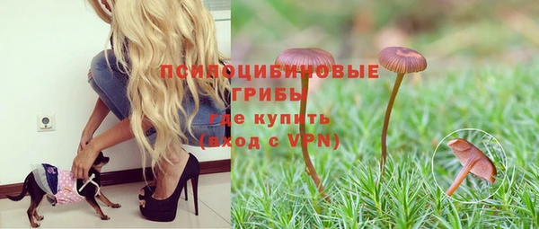 мдпв Гусиноозёрск