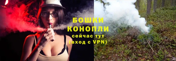 бошки Гусев