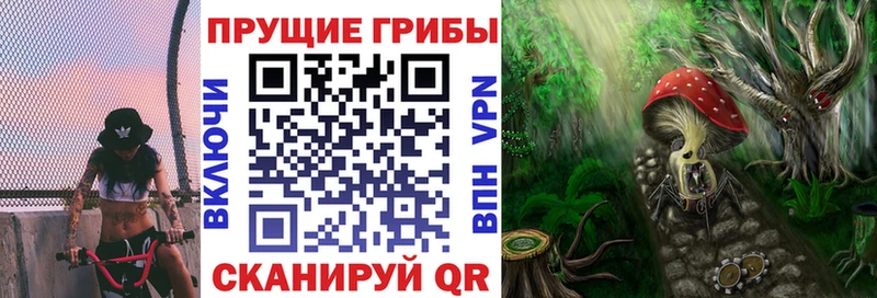 Галлюциногенные грибы прущие грибы  Заринск 